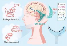 耳后脑机接口贴片问世：北理工、北航团队打造，连续佩戴 10 小时稳定使用